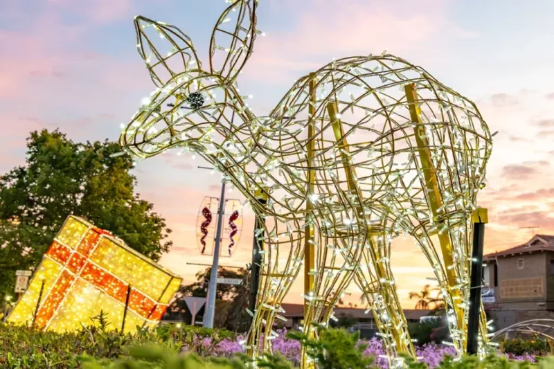 A large wireframe illuminated Christmas figure with a gift box in a civic garden bed at dusk