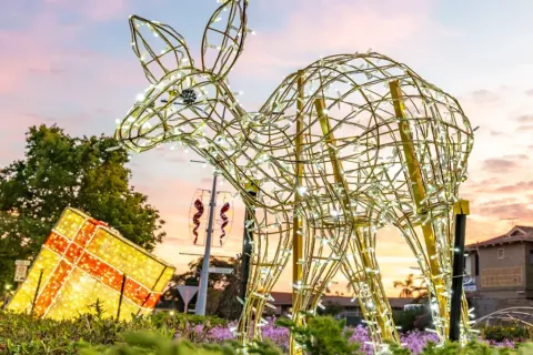 A large wireframe illuminated Christmas figure with a gift box in a civic garden bed at dusk